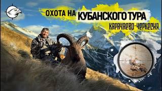 Охота На Кубанского Тура в Горах |  трофей с одного выстрела | СпектрОптик