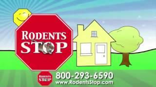 Rodent Control Company Los Angeles | Rodents Stop | Southern CA Rodent Control Company