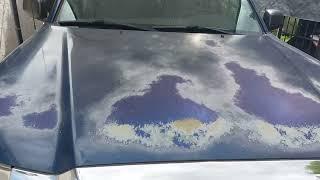 Sun-Damaged Automotive Paint