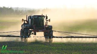 Are GMOs Safe? The Case of Roundup Ready Soy