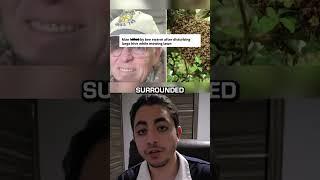 Bees Are Becoming A Problem Again 