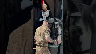 SOLDIER GIVES HORSE WATER | Horse Guards, Royal guard, Kings Guard, Horse, London, 2024