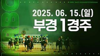 (부산) 2025.06.15 1경주