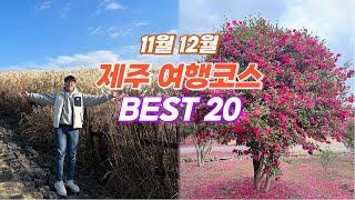 11월 12월 제주여행 추천 코스 BEST 20  날씨가 추워져도 예쁜 곳이 넘쳐나는 가을 겨울 제주도 여행지 추천