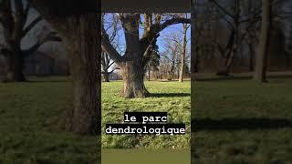 « C’est moi ! Et toi, qui es-tu » - Projet eTwinning