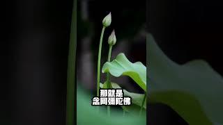 輪迴是怎麼來的呢？怎麼樣不造業？淨空法師開示
