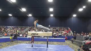 Akash Modi - Pommel Horse - 2020 Winter Cup Finals