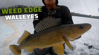 Insane First ICE Walleye Bite with I-Fish Pro’s!