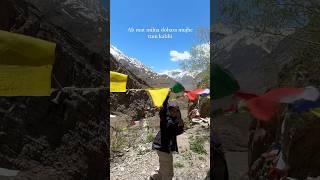 Love hurts #lofivibe #travelwithafiya #pinvalley #travel #spitivalleyroadtrip #travelvlogshindi