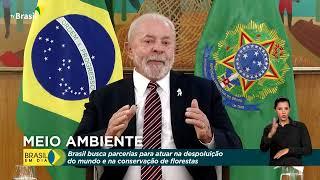 Meio Ambiente | Conservação de florestas