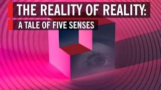 The Reality of Reality: A Tale of Five Senses