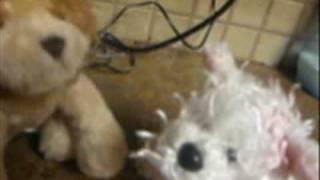 WeBkInZ cArEeR dAyZ-6-Radio D.J Dude