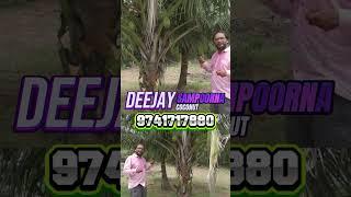 New Research Hybrid coconut plantation deejay sampoorna