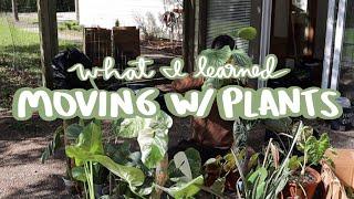 Moving With Houseplants: what went well and what I'd change