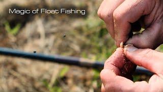 The magic of float fishing / autumn float fishing