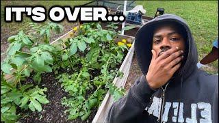 Hail Storm Destroyed The Tiny Home Garden…