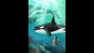 The Little Orca | Book Trailer | Children's Book | Kindle Unlimited Book Recommendations