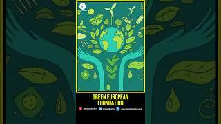 Green European Foundation (GEF) explained - Shorts - Impact Ideators