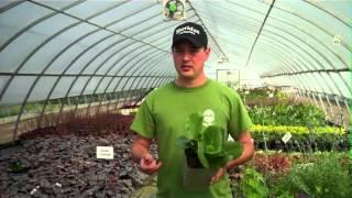 Deer and Rabbit Resistant Perennials - Sheridan Nurseries Video