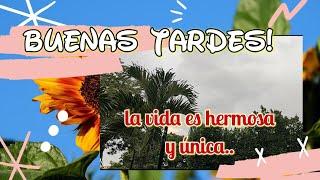 FRASES DE BUENAS TARDES LA VIDA ES HERMOSA Y ÚNICA, MIRA ESTE VÍDEO