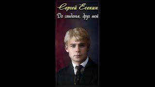 До свиданья, друг мой - Сергей Есенин (читает Павел Севостьянов) #shorts