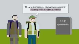 Lujan v. Defenders of Wildlife Case Brief Summary | Law Case Explained