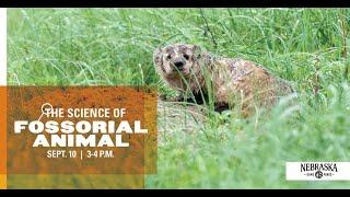 The Science of Fossorial Animals