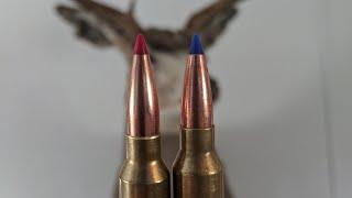 Hornady vs Barnes expansion Test