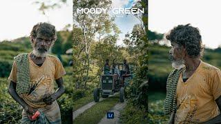 MOODY GREEN Presets - Lightroom Mobile Preset Free DNG | Moody Green Portrait Presets