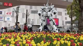 Churippu Tulip of Tokyo 2024