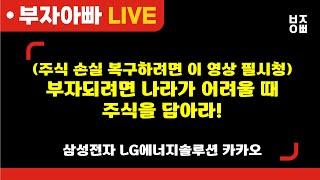 부자되려면 나라가 어려울 때 주식을 담아라!ㅣ삼성전자, SK하이닉스, LG에너지솔루션, POSCO홀딩스, HLB, 알테오젠, 카카오, 이수페타시스, 펩트론, 한화오션, 오리엔트정공