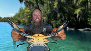 Blue Crabbing in Forgotten Florida | Silver Glen Springs {Catch, Clean, Cook}