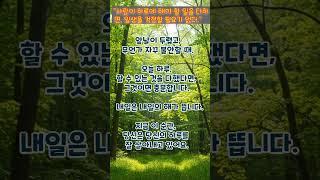 #지혜의길 #부처님말씀 #명상 #마음의평화 #지혜의길 #명언 #마음의소리로쓰는글