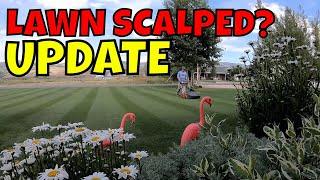 I SCALPED MY LAWN.... UPDATE  // Connor Ward