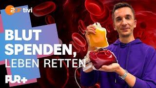 Blut spenden: Wie es geht und warum es so wichtig ist | PUR+