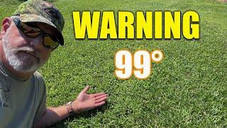 Summer Heat and Drought Lawn and Garden Care