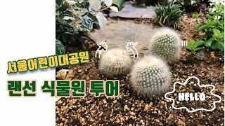 서울어린이대공원 식물원 랜선 투어