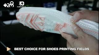 Piocreat FGF  Pellet Printer，best choice for shoes printing fields..