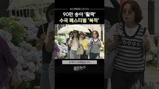 90만 송이 '활짝'‥ 수국 페스티벌 '북적'