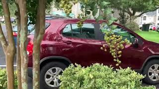 Condo Tour in World  Golf Village, St. Augustine Florida