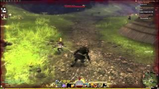 Guild Wars 2 - World vs World PvP PC Gamer Preview