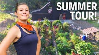 FULL August Garden Tour 2024! | The Lazy Garden Survived and Thrived!