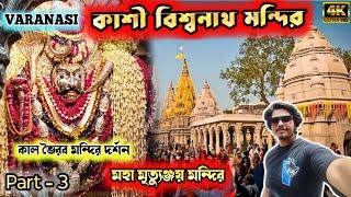 Kashi Vishwanath Mandir | kaal Bhairav Temple Varanasi | Varanasi Tour 2024 | Ep - 3