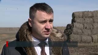 Семейная молочная ферма в Тацинском районе