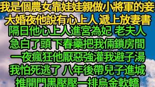 我是個農女靠娃娃親做小將軍的妾 大婚夜他說有心上人遞上放妻書，隔日心上人進宮為妃 老夫人急白了頭，下春藥把我倆鎖進房間 一夜瘋狂他厭惡強灌我避子湯，我怕死逃了八年後帶兒子進城，推開門黑壓壓一排烏金軟轎