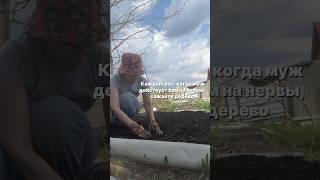 Наши отношения спасут природу #весна #юмор #обзордачи #прикол #садоводничество #моядача #жиза