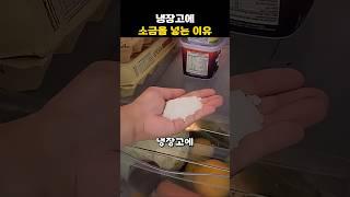 냉장고에 소금을 넣는 이유