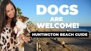 Living and visiting Huntington Beach with Your Dog: Top Dog-Friendly Spots