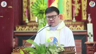 BA ĐIỀU VỀ BỨC LINH ẢNH ĐỨC MẸ HẰNG CỨU GIÚP - LM. VINHSON PHẠM CAO QUÝ, DCCT