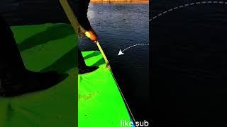 Super amazing net casting more fish.